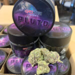 Pluto Cookies