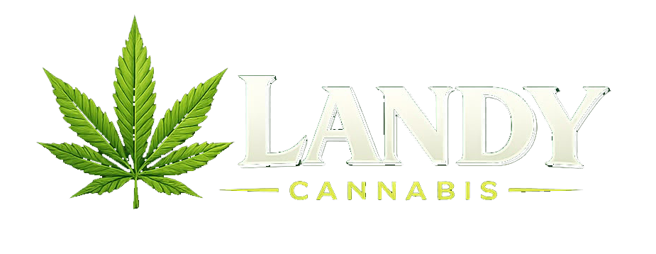 Landy Cannabis Store